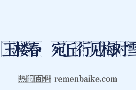 玉楼春·宛丘行见梅对雪是什么意思的图片